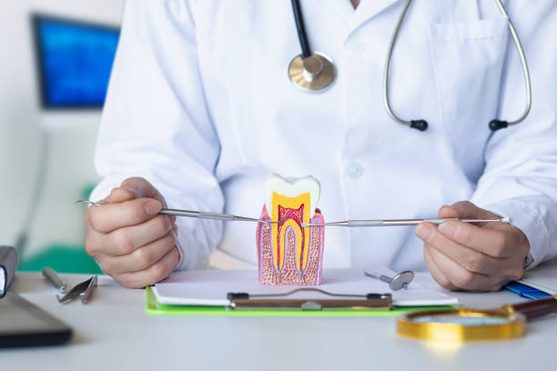 Best Emergency Treatment for Dental Infections or Abscesses in Richardson, TX